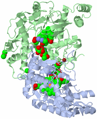 Image Asym./Biol. Unit