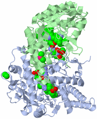 Image Asym./Biol. Unit