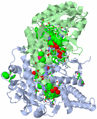 Image Asym./Biol. Unit - sites