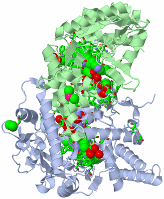 Image Asym./Biol. Unit - sites