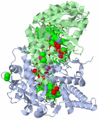 Image Asym./Biol. Unit - sites