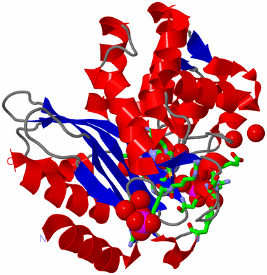 Image Asym./Biol. Unit - sites