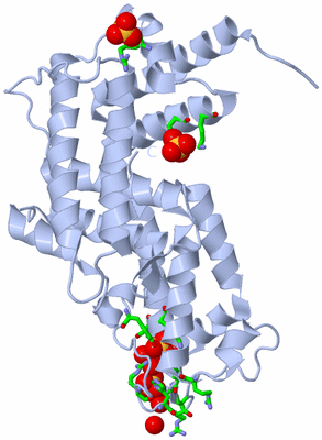 Image Biol. Unit 1 - sites