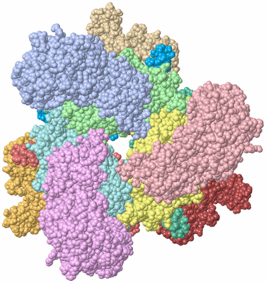 Image Asym./Biol. Unit - sites