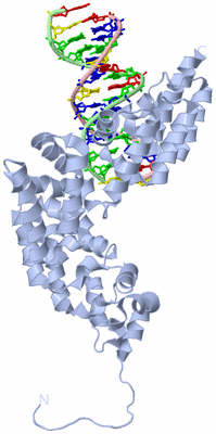 Image Biological Unit 2