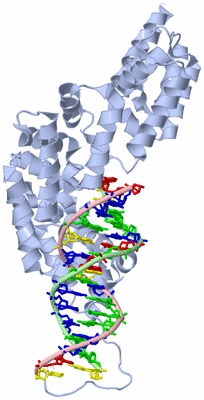 Image Biological Unit 3