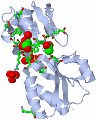 Image Biol. Unit 1 - sites