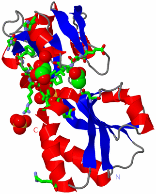 Image Asym. Unit - sites