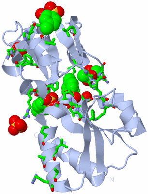 Image Biol. Unit 1 - sites