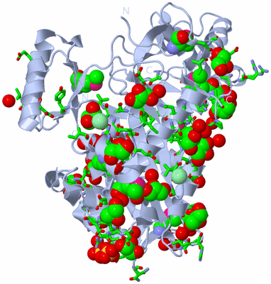 Image Biol. Unit 1 - sites