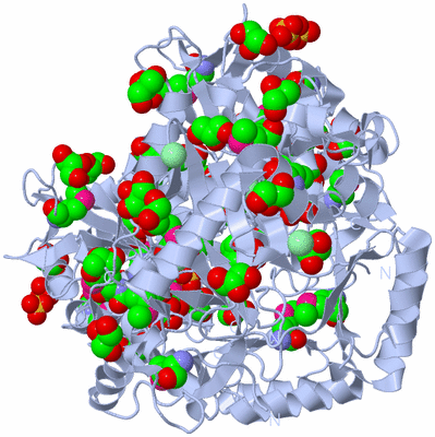 Image Biological Unit 2