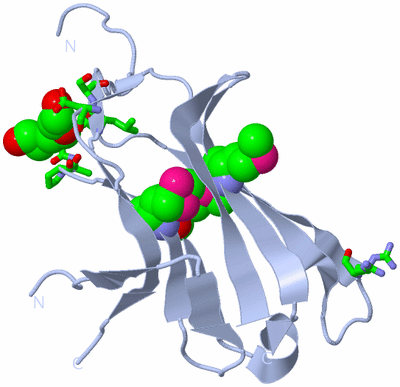Image Biol. Unit 1 - sites