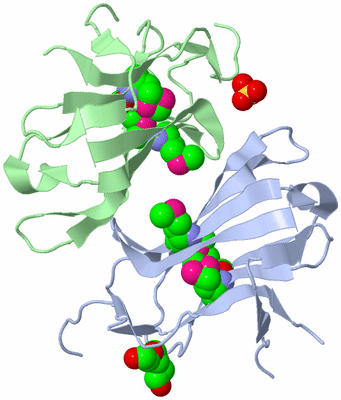 Image Biological Unit 3