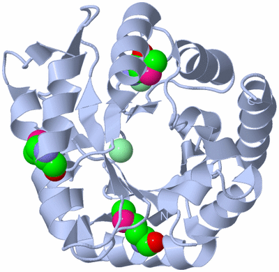 Image Biological Unit 1