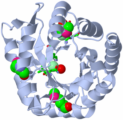 Image Biol. Unit 1 - sites