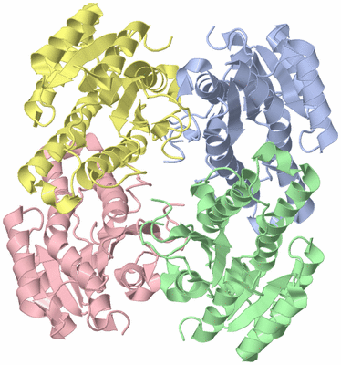 Image Asym./Biol. Unit