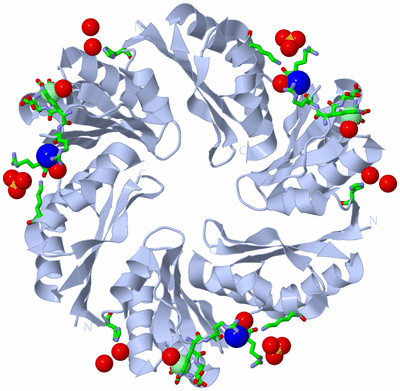 Image Biol. Unit 1 - sites