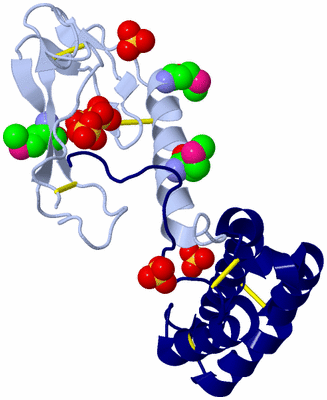 Image Biological Unit 1