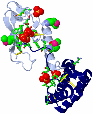 Image Biol. Unit 1 - sites