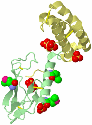 Image Biological Unit 2