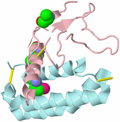 Image Biological Unit 3