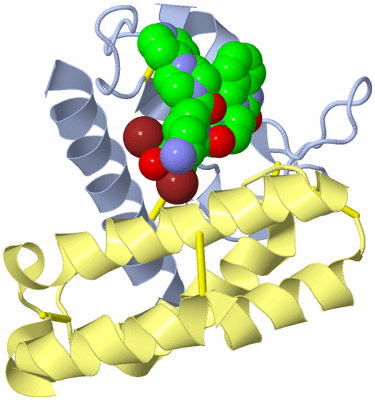 Image Biological Unit 1