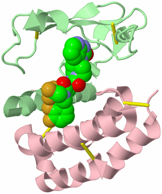 Image Biological Unit 2