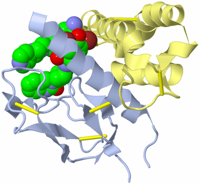 Image Biological Unit 1