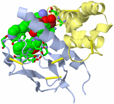 Image Biol. Unit 1 - sites