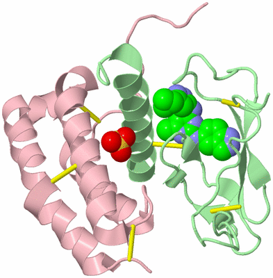 Image Biological Unit 2