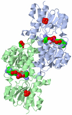 Image Biological Unit 1