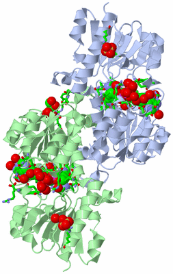 Image Biol. Unit 1 - sites