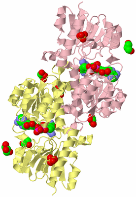 Image Biological Unit 2