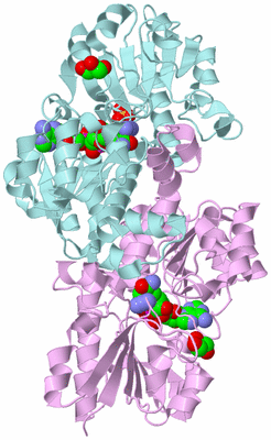 Image Biological Unit 3