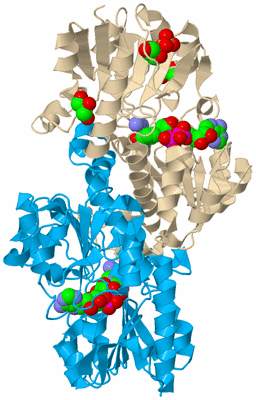 Image Biological Unit 5