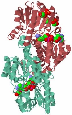 Image Biological Unit 6