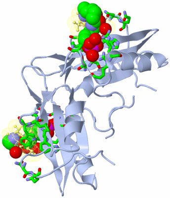 Image Biol. Unit 1 - sites