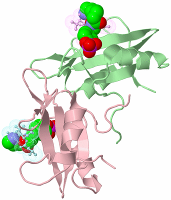 Image Biological Unit 3