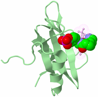 Image Biological Unit 4