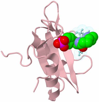 Image Biological Unit 5