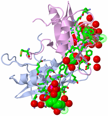 Image Biol. Unit 1 - sites