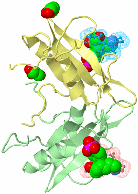 Image Biological Unit 3