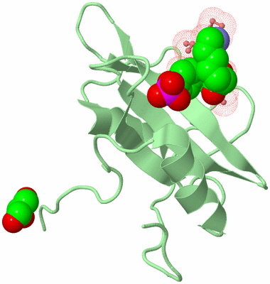 Image Biological Unit 4