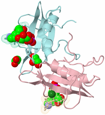 Image Biological Unit 5