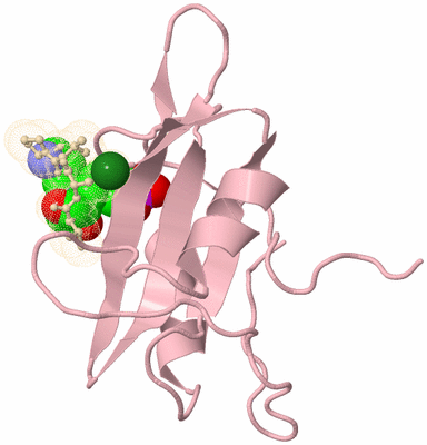 Image Biological Unit 6