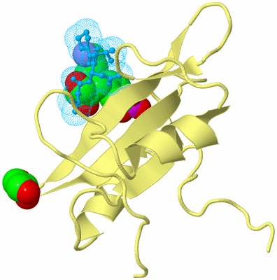 Image Biological Unit 7