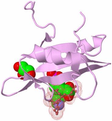 Image Biological Unit 8