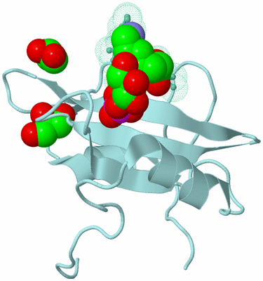 Image Biological Unit 9