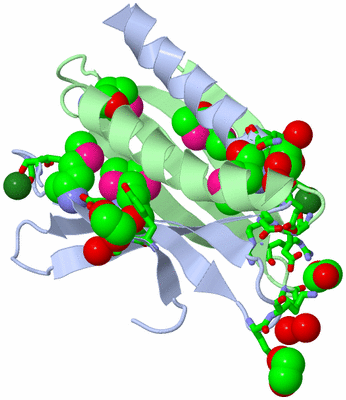 Image Asym./Biol. Unit - sites