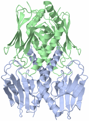 Image Biological Unit 2
